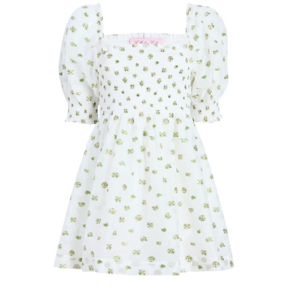 Hill House Dresses & Skirts - Hill house Organza Athena Dress SzL